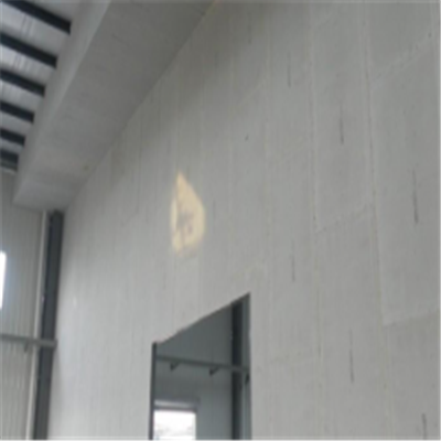 丹棱宁波ALC板|EPS加气板隔墙与混凝土整浇联接的实验研讨